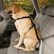  Kurgo Tru-Fit Smart sikkerhedssele - Monteret på hund
